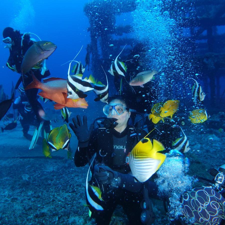 Green Island Ocean Rhythem Dive B&B 綠島海韻民宿 Екстер'єр фото